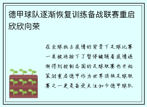 德甲球队逐渐恢复训练备战联赛重启欣欣向荣